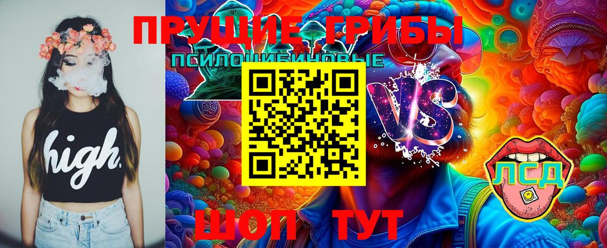 дарнет шоп  Вход с VPN  Котельники  Псилоцибиновые грибы мухоморы  Псилоцибиновые грибы мицелий 