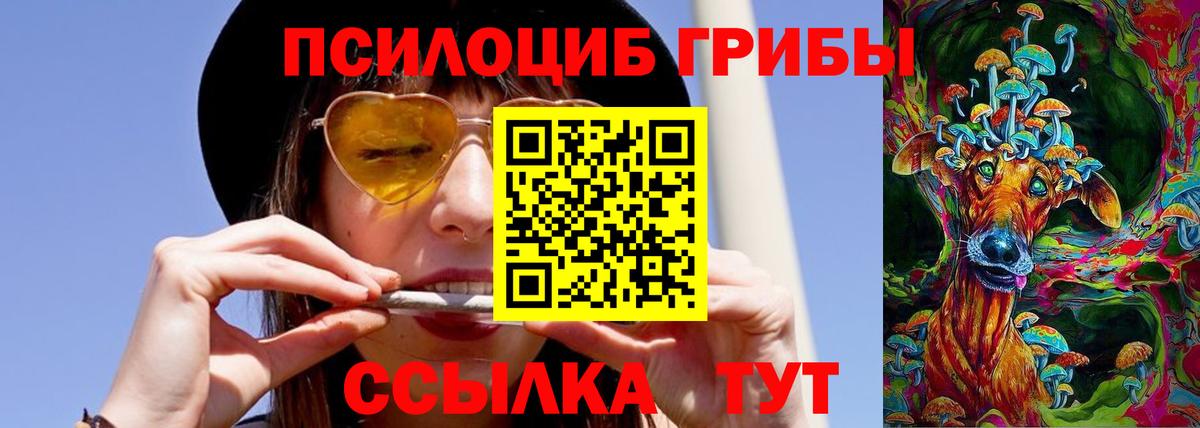 Псилоцибиновые грибы мухоморы Котельники